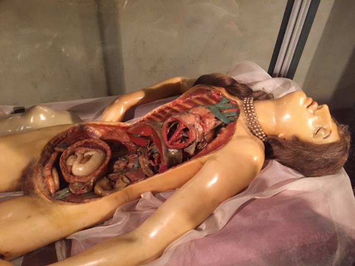 Bolognese Venerina by Clemente Susini