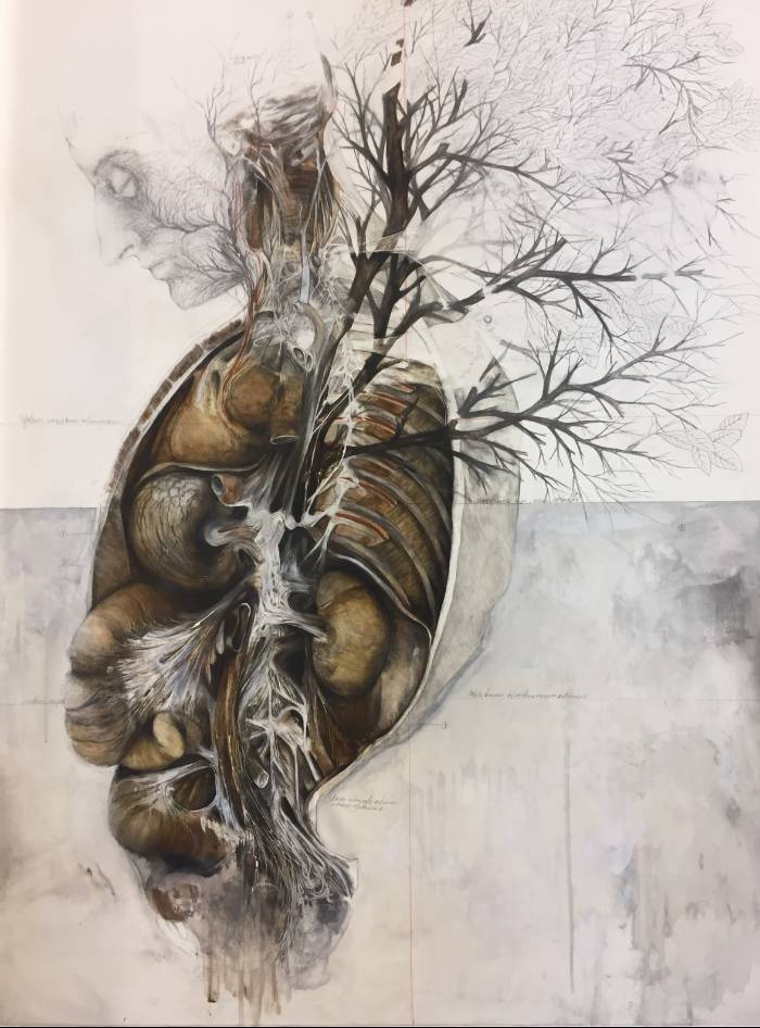 Figurative Drawing University of Bologna